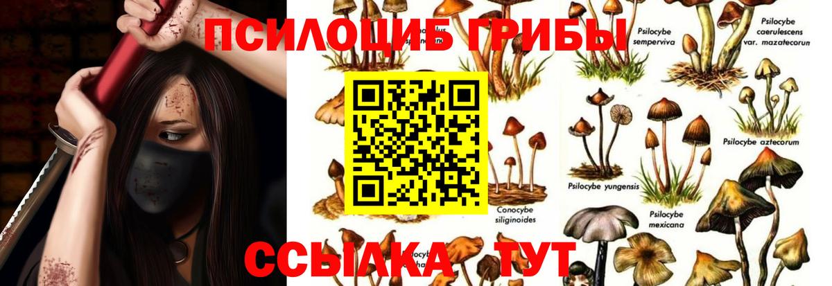 Псилоцибиновые грибы GOLDEN TEACHER  Галлюциногенные грибы мицелий  Новоуральск  Вход с VPN 